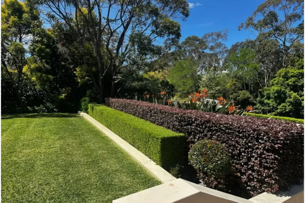 Eco-Friendly Garden Care