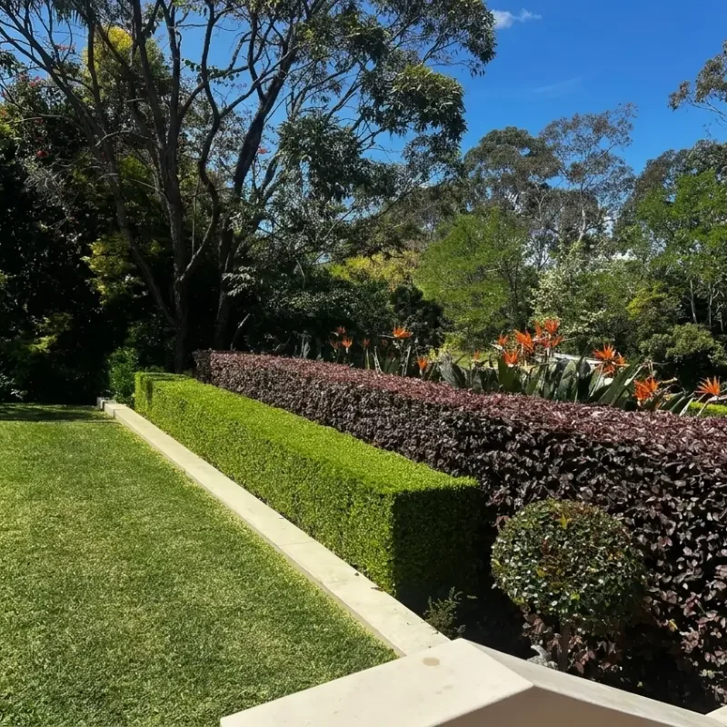 Eco-Friendly Garden Care