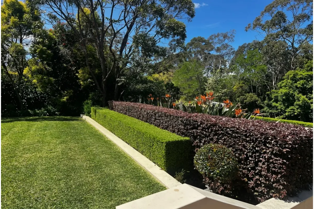 Eco-Friendly Garden Care Tips to Keep Sydney Lawns Healthy All Year Round