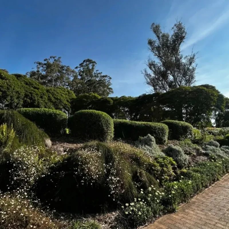 Garden Design