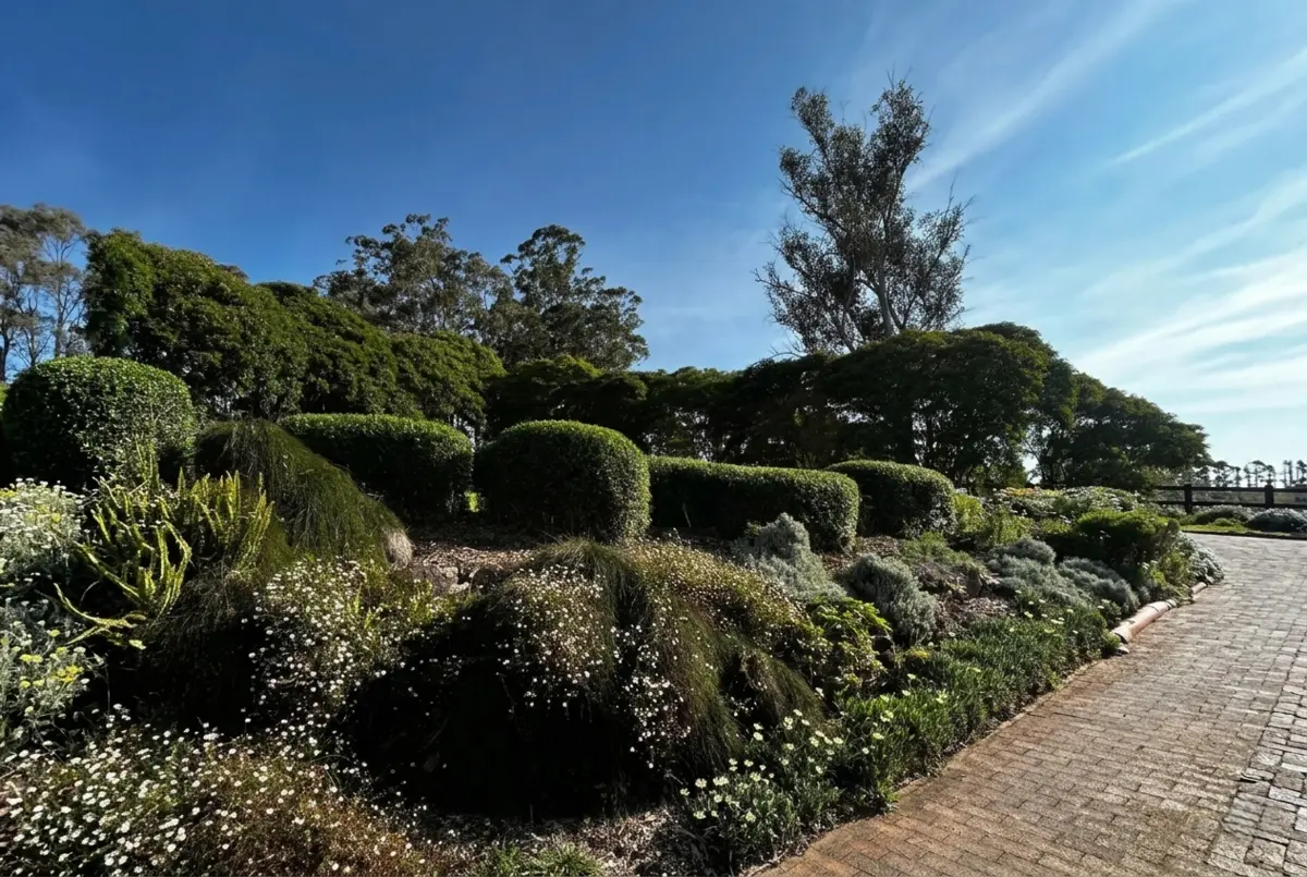 Garden Design Sydney: Smart Ideas for Small & Modern Spaces