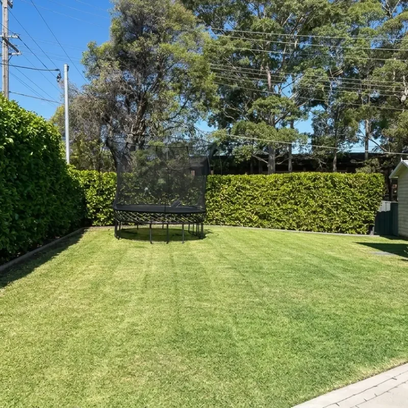 Low Maintenance Garden Design