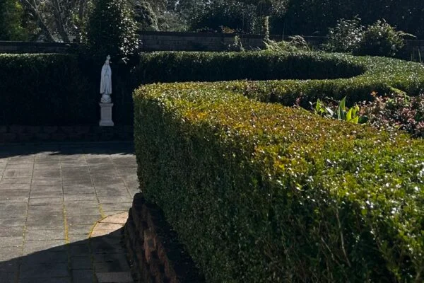 Retaining Wall Installation