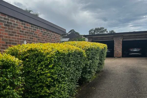 decking installation