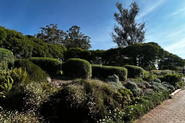 mulching and fertilising service