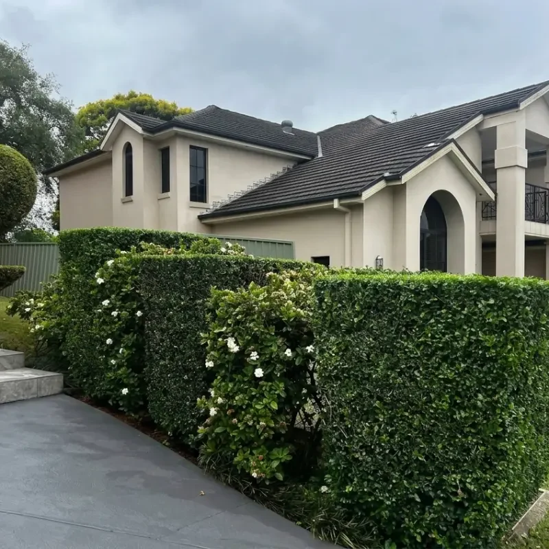 Residential Landscaping